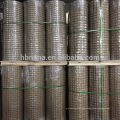 Factory price 1/4 inch galvanized welded wire mesh